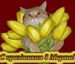 С праздником! Милые женщины!